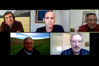 Los cinco expertos, durante el primer en la jornada virtual de A Todo Trigo