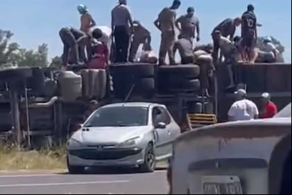 Los vecinos faenaron los 75 animales que iban en el camión