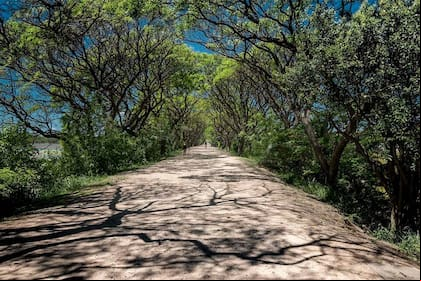Más de 1.600.000 hectáreas de la provincia de Buenos Aires son Áreas Naturales Protegidas