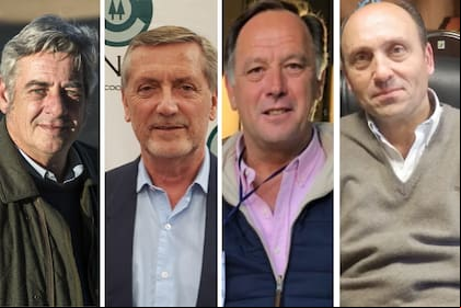 Nicolás Pino, presidente de SRA; Elbio Laucirica, presidente de Coninagro; Gabriel De Raedemaeker, vicepresidente de CRA, y Horacio Salaverri, presidente de Carbap