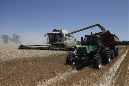 Para Agricultura, la próxima cosecha superará los 20 millones de toneladas