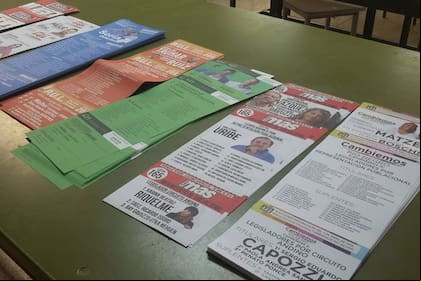 Por primera vez, en Río Negro se vota con boletas de colores