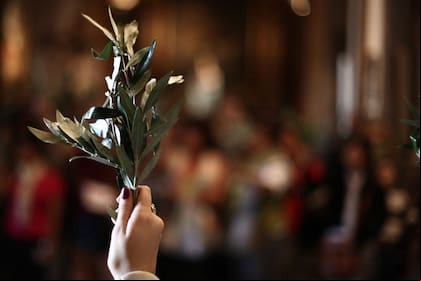 ¿Por qué se celebra hoy el Domingo de Ramos?