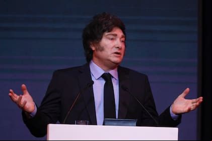 Qué dijo Milei sobre la relación del kirchnerismo con el hospital Garrahan