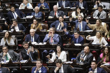 Sesión en la Cámara de Diputados por la Ley Bases