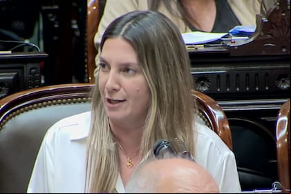 Silvia Lospennato dijo que faltan dos votos para la aprobación de ficha limpia en el Senado y le pidió a la sociedad que “presione”