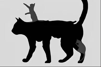 Test visual: descubre tu edad mental según cuántos gatos veas en la imagen