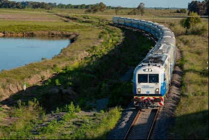 trenes argentinos