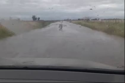 Un camino intransitable en el partido bonaerense de 9 de Julio