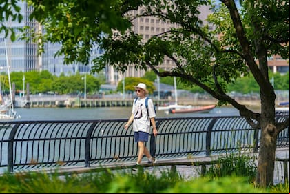 Un joven pasea por el Central Park, en Nueva York