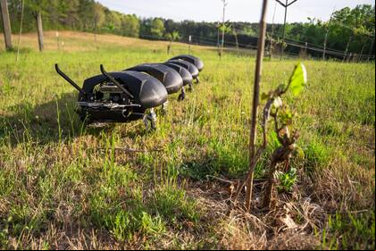 Un prototipo del robots ciempiés desmalezador para sacar yuyos de los cultivos creado por Ground Control Robotics