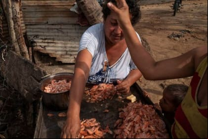 Una mujer limpiando los camarones capturados en el Lago de Maracaibo